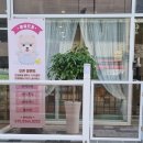 마실오개 이미지