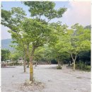 마이산 가자캠핑장 이미지