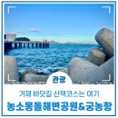 [거제여행] 청명한 바닷길 따라 걷기 좋은 농소몽돌해변