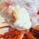 후포수산노동조합 | [울진맛집] 가성비 끝판왕! 인당 3만원대로 즐기는 울진 후포항 홍게 무한리필 후기-후포리 대광수산