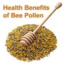 자연이 선물한 완전식품 벌 화분 Bee Pollen＜검색자료＞ 이미지