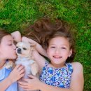 하남숲동물병원 이미지