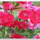 유정천리 이미지