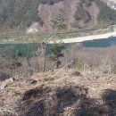 남섭농장 이미지