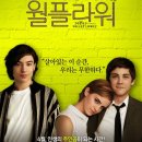찬미플라워 - 창원시 마산합포구 교방동1길 26 | 찬미플라워