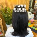 울산 신정동 미용실 CCW헤어 손상모 천연 비건 새치염색 후기