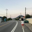 여수 꿈에그린 애견펜션 | [여수] 꿈에그린 애견펜션, 바다가 보이는 가성비좋은 가족펜션