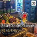 광명로 361번길 | [성남/금광동] | 분위기 좋은 신구대 이자카야 술집 이도