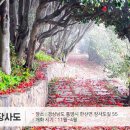 뉴전남컴퓨터학원 이미지