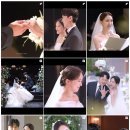 W5. 파티웨딩유 본식 DVD 필름미뇽 예약 후기 (추천인/짝꿍코드)