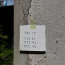 blog#39 노는게 좋은 나이