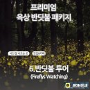 반딧불안경 이미지