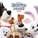 마이펫의 이중생활 이미지