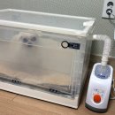 정수동물병원 | 강아지 네블라이저 산소방 카스 초음파 흡입기 기관지협착증 사용후기 (내돈내산)