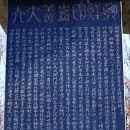 이정형 카카오 검색결과