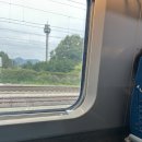 둔촌참숯가마목욕탕 | 울산찜질방 태화강참숯가마 추천 내돈내산 솔직후기