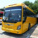 하단동1161 이미지