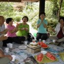 일구농장3 Daum카페
