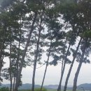 옥포3호근린공원 이미지