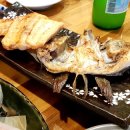 사시미교우 이미지
