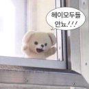 백상약국 | 5월에 사고 팔고 받고 버린 것들