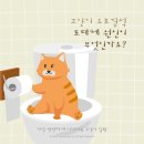 부평종합동물의료센터 이미지