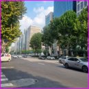 강남황금공인중개사사무소 이미지