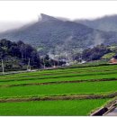 죽산마을 이미지