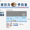 체인지펫미용 이미지