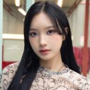 타이에스 이미지