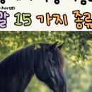 비즈온포유 이미지