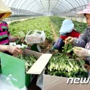 총체보리한우유통센터 이미지