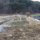 새마을낚시터 이미지