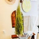 사파동132 이미지