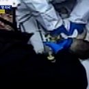 멍머리 이미지
