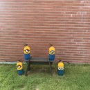 더멍멍컴퍼니 이미지