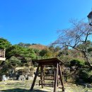 용두농장 | 실내에 풀어 놓을수 있는 애견동반 카페 -아벤티노의 농장