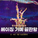 북경 여행 베이징 서커스 추천 베이징 조양서커스 후기