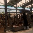 달무리농장 이미지