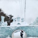 알프스유치원 | 충남 청양 알프스마을 얼음분수축제