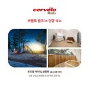 10월의왈츠 이미지