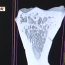 평생건강연구소