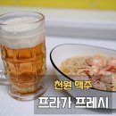 세븐일레븐 철산점 | 세븐일레븐 천원 맥주 프라가 프레시 솔직 리뷰