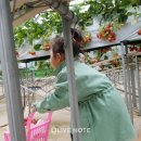 아이와농장 이미지