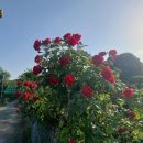 선바위농장 이미지