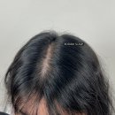 보담 이미지