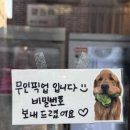 유등로669번길 | [대전] 당일 케이크 주문 제작이 가능한 곳! 탄방동 레터링케이크 “쿠쿠케이크”