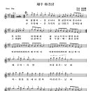 제주 아리랑 이미지