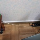 이레 양계장 이미지