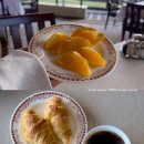 힐링골프 | 구마모토 골프 아카미즈cc 라운딩 후기 자연 속 힐링 일본 해외골프투어 추천